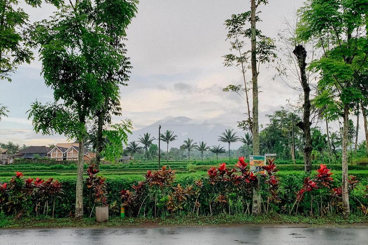 Lesehan Cahaya Tetebatu Inn Syariah At Desa Wisata Exterior photo